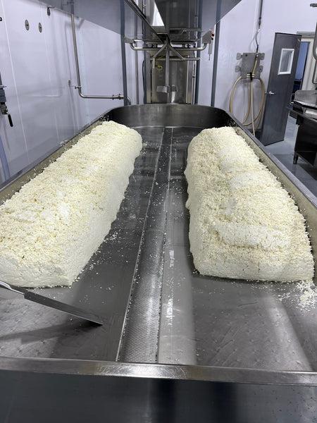 Ranch Cheddar Curds 6 oz. Bag